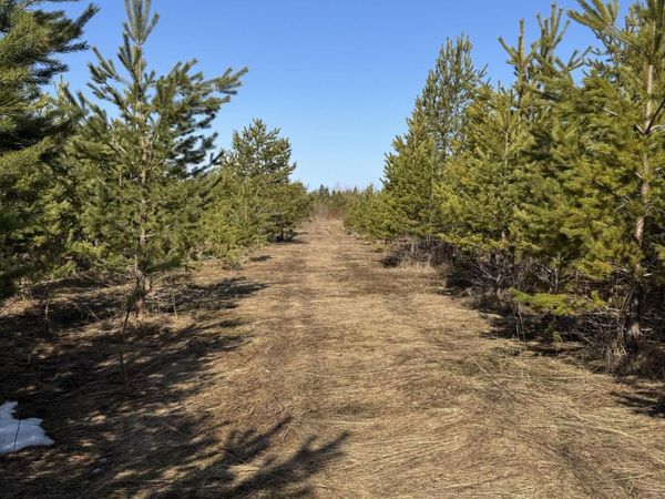 54.4 acres S Mackinac Trail, Sault Ste Marie, MI 49783