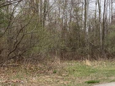 BIRCH Drive, Fraser Twp, MI 48650