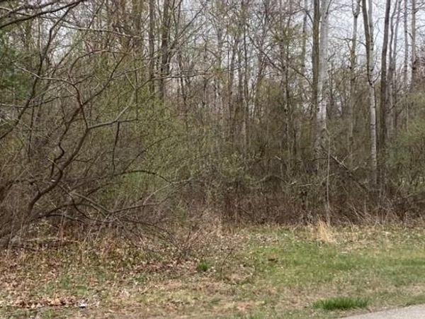 BIRCH Drive, Fraser Twp, MI 48650