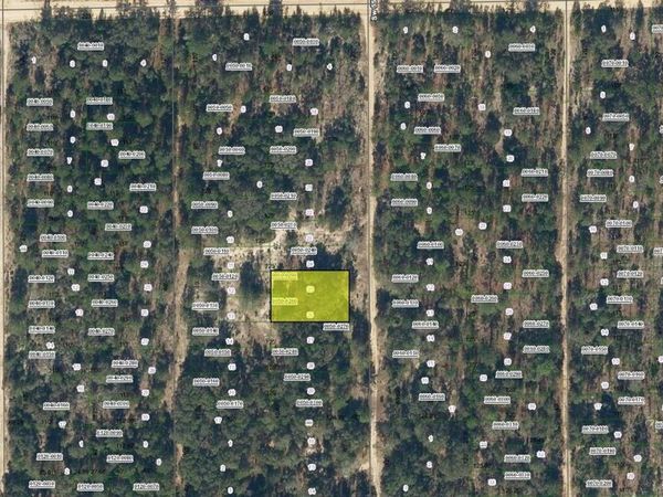 SW 55TH AVENUE, INTERLACHEN, FL 32148