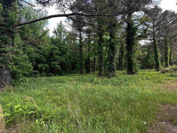 0 HIGHWAY 57 HWY, Michie, TN 38357