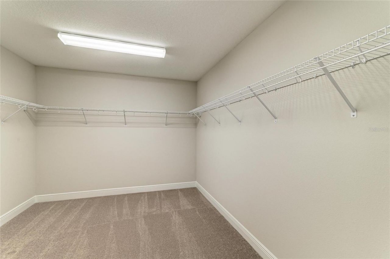 9699 Surrey Rose Drive, San Antonio, FL 33576 Photo