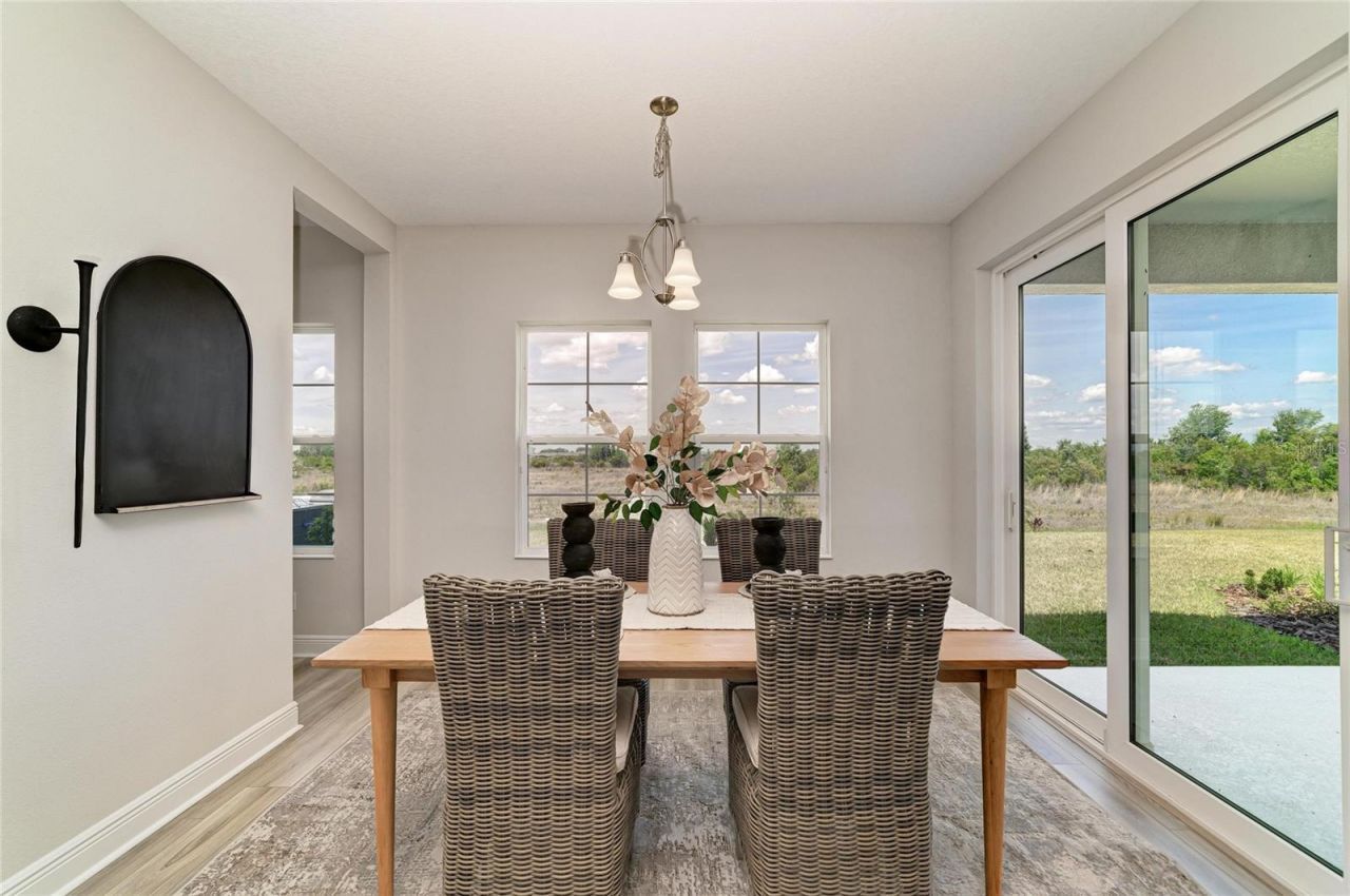9699 Surrey Rose Drive, San Antonio, FL 33576 Photo