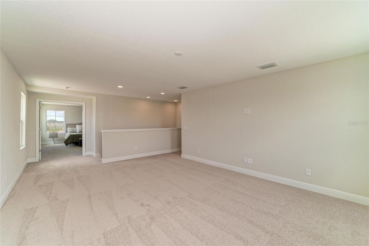 9699 Surrey Rose Drive, San Antonio, FL 33576 Photo