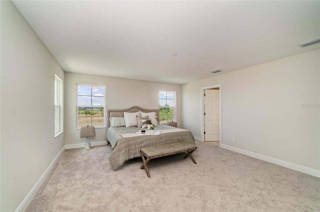 9699 Surrey Rose Drive, San Antonio, FL 33576 Photo
