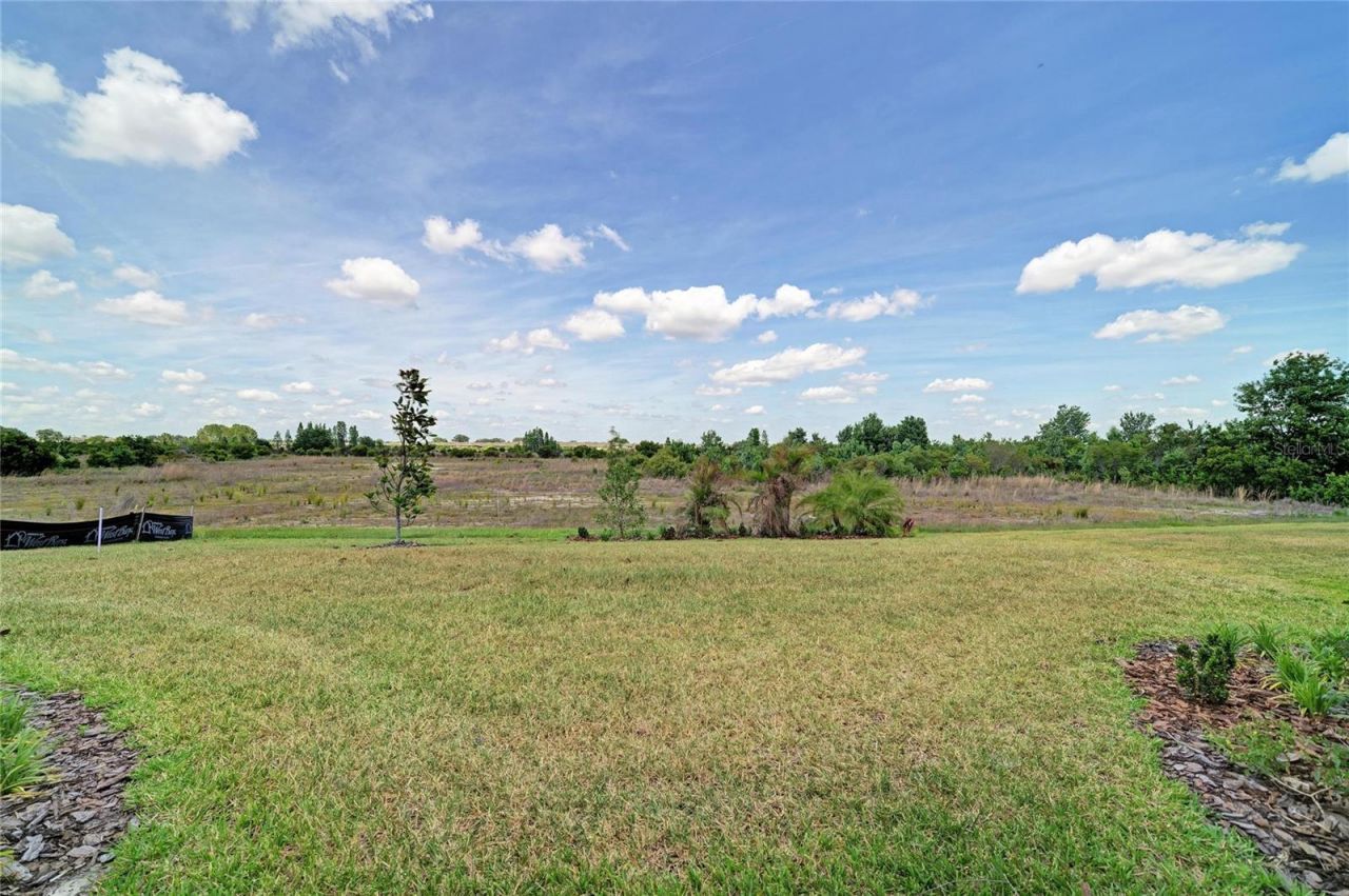 9699 Surrey Rose Drive, San Antonio, FL 33576 Photo