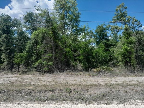 tbd NE 63RD PLACE, WILLISTON, FL 32696