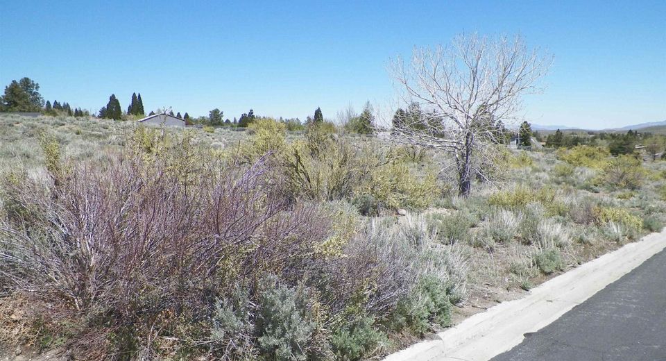 6360 De Chardin Lane, Reno, NV 89511 Photo