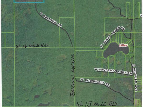 13460 Baldwin Drive, Bitely, MI 49309
