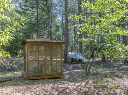 7440 Bear State Rd, Georgetown, CA 95634 Photo