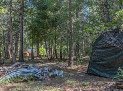 7440 Bear State Rd, Georgetown, CA 95634 Photo