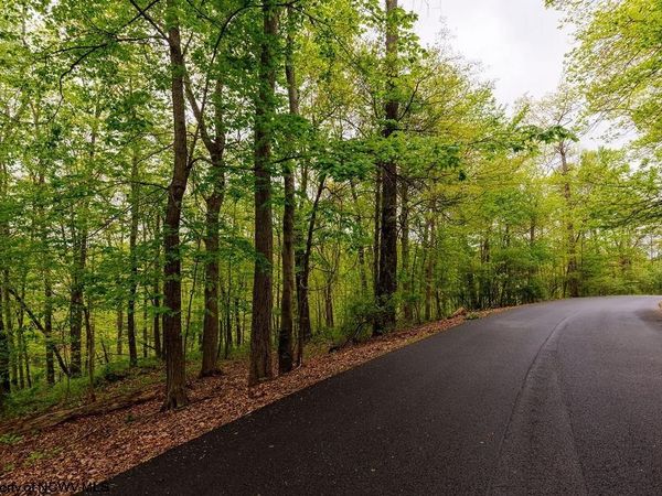 TBD Hinkle Lake Road, Bridgeport, WV 26330