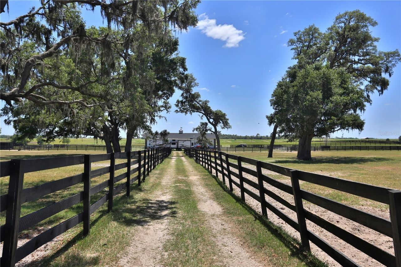 7970 SW 140th Avenue, Unit Option 2, Dunnellon, FL 34432 Photo