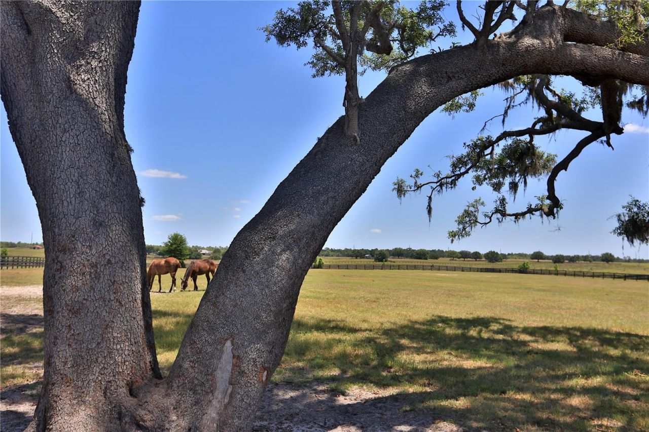 7970 SW 140th Avenue, Unit Option 2, Dunnellon, FL 34432 Photo