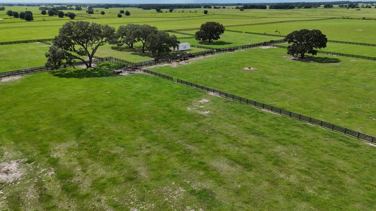 7970 SW 140th Avenue, Dunnellon, FL 34432 Photo