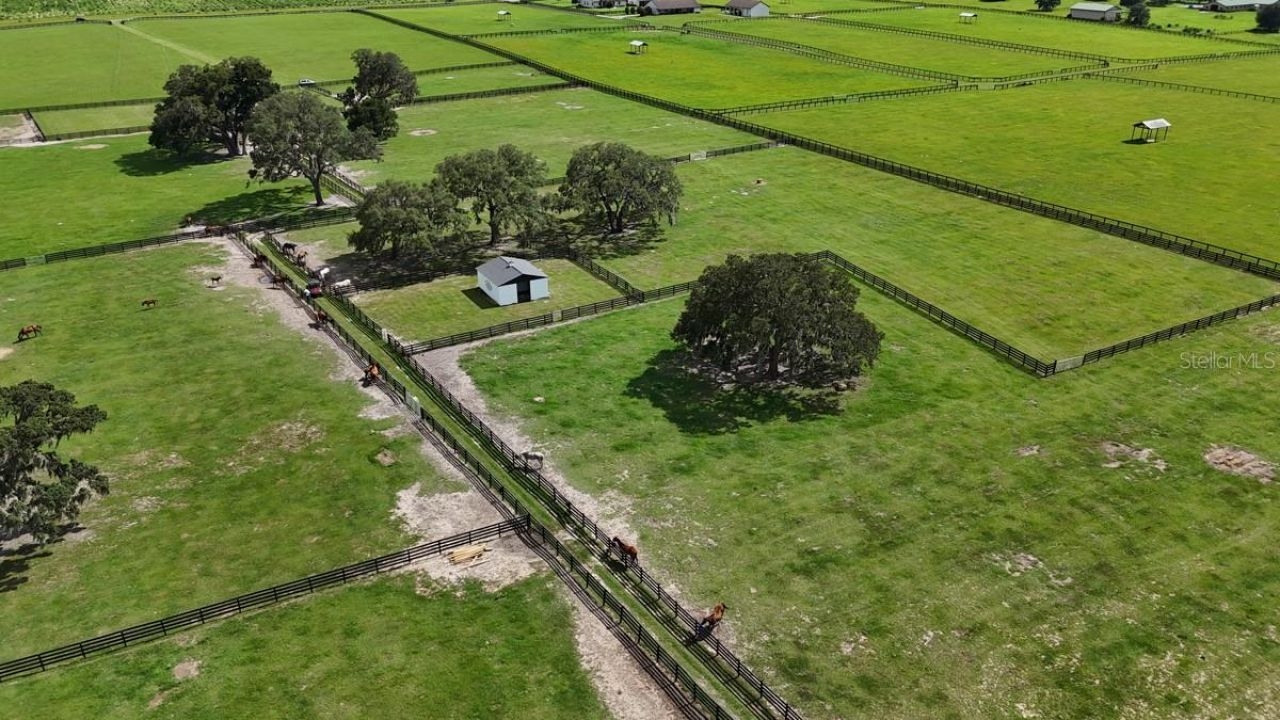 7970 SW 140th Avenue, Dunnellon, FL 34432 Photo