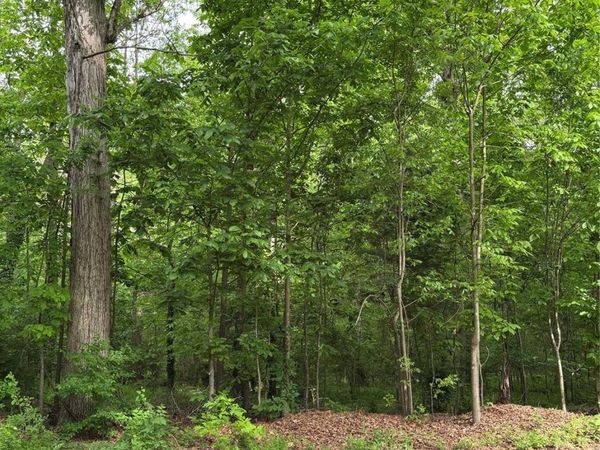 0 White Oaks Circle, Monroe, NC 28112