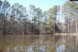 2852 Gaston Farm Road photo 4