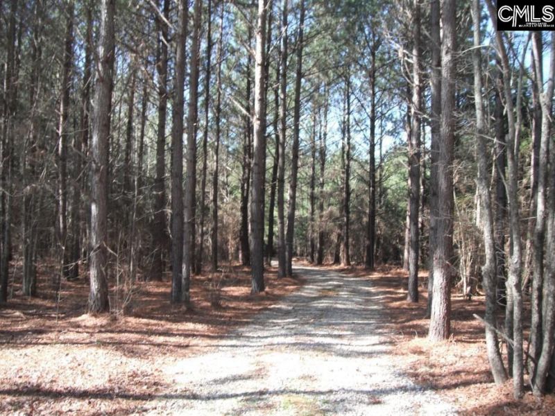 2852 Gaston Farm Road Photo 41