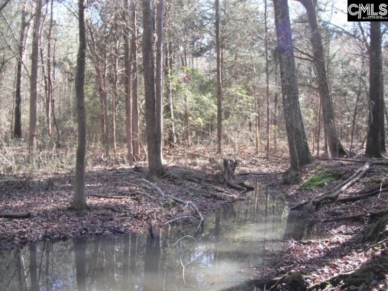 2852 Gaston Farm Road Photo 43