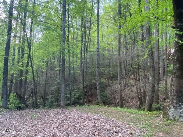 Lot 26 Alpine Drive, Sevierville, TN 37876