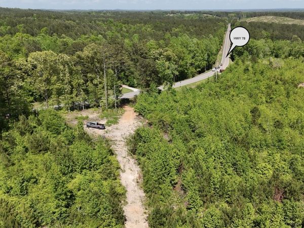 22024 Co Rd 49, Muscadine, AL 36269