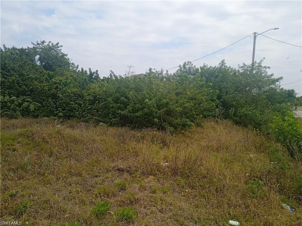 3418 11th St Sw, Lehigh Acres, FL 33976 Photo