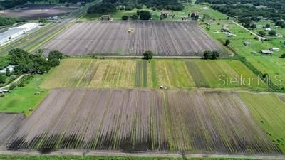 4708 James L Redman Parkway, Plant City, FL 33567 Photo