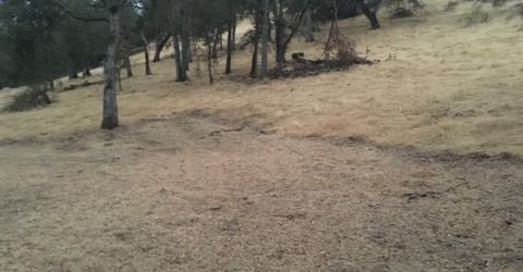 679 Zarzamora, La Grange, CA 95329 Photo