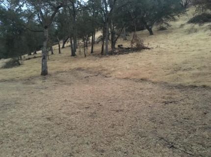 679 Zarzamora, La Grange, CA 95329 Photo