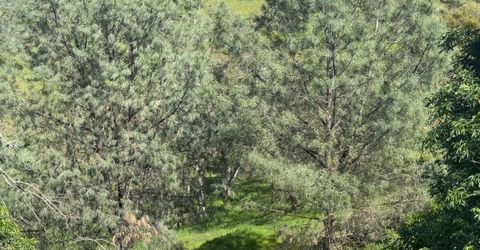 679 Zarzamora, La Grange, CA 95329 Photo