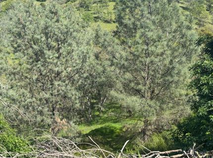 679 Zarzamora, La Grange, CA 95329 Photo