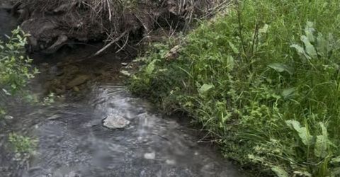 679 Zarzamora, La Grange, CA 95329 Photo