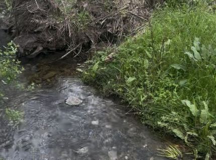 679 Zarzamora, La Grange, CA 95329 Photo