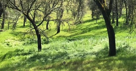 679 Zarzamora, La Grange, CA 95329 Photo