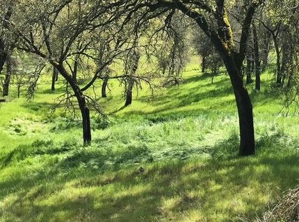 679 Zarzamora, La Grange, CA 95329 Photo