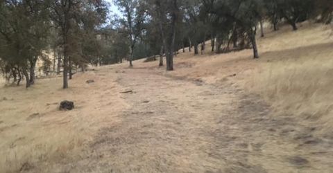 679 Zarzamora, La Grange, CA 95329 Photo