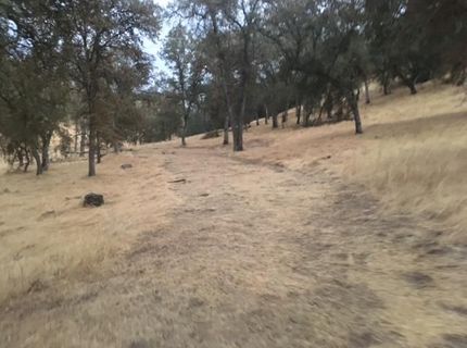 679 Zarzamora, La Grange, CA 95329 Photo