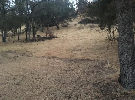 679 Zarzamora, La Grange, CA 95329 Photo