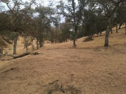 679 Zarzamora, La Grange, CA 95329 Photo