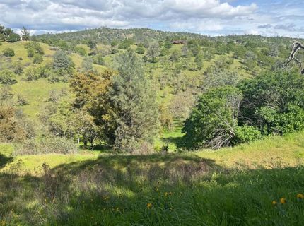 679 Zarzamora, La Grange, CA 95329 Photo