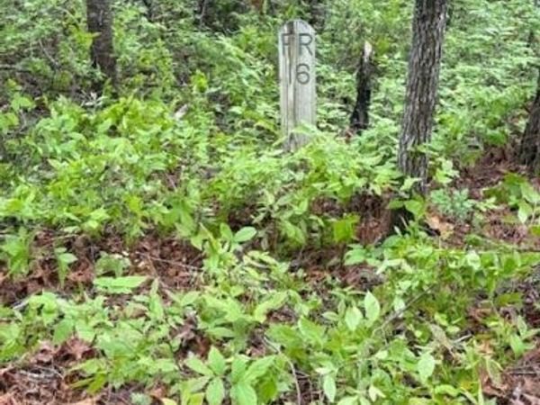 FR 16 Opossum Path, Brevard, NC 28712