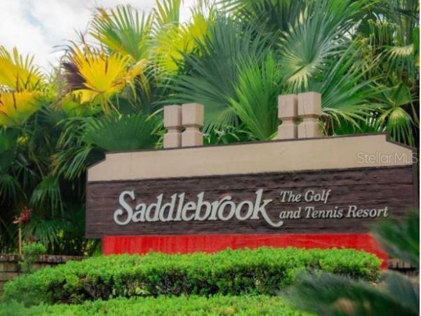 5454 SADDLEBROOK WAY, Unit 2, WESLEY CHAPEL, FL 33543