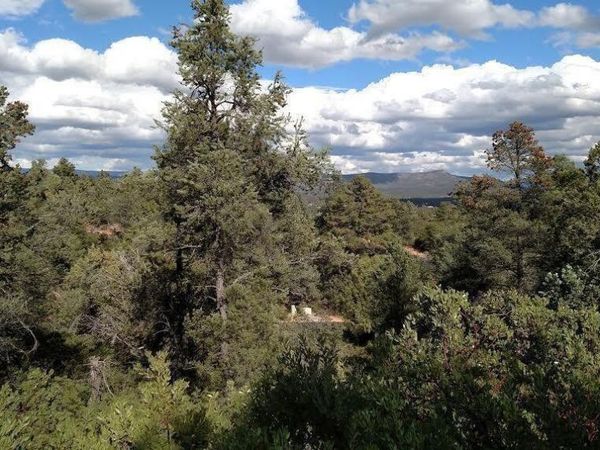 2311 E FEATHER PLUME Lane, Unit 631, Payson, AZ 85541