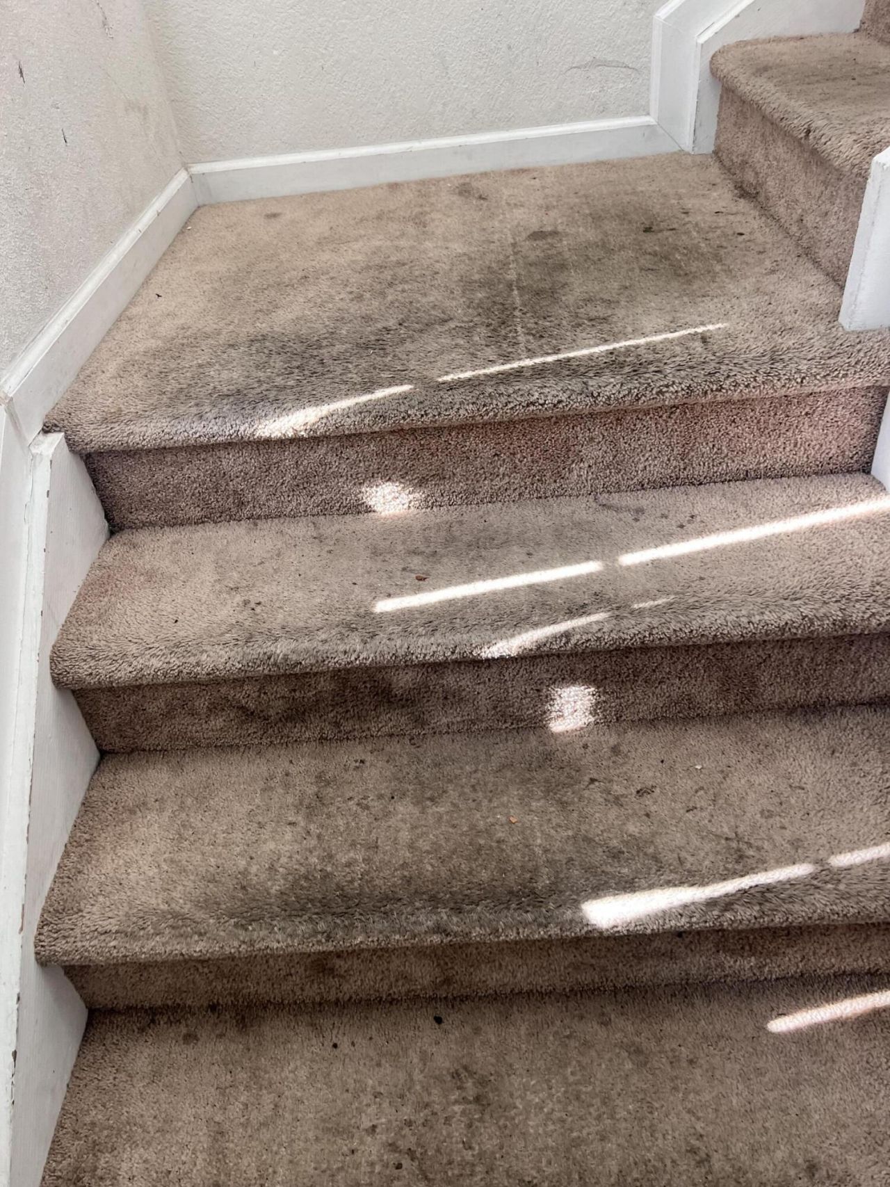 2010 Freeport Lane, Unit 4104, Riviera Beach, FL 33404 Photo