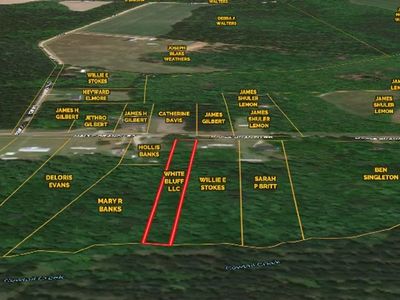 0 Maple Branch Road, Unit Road, Reevesville, SC 29471