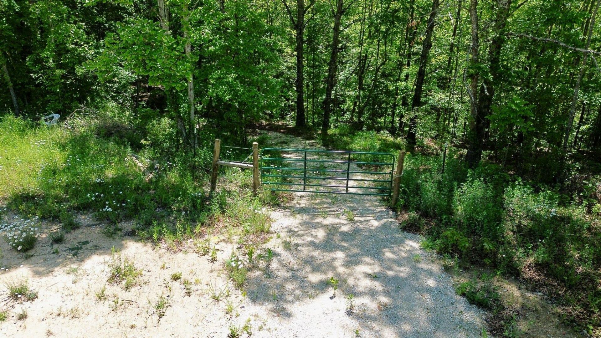 16 Coal Camp Road, Hitchins, KY 41146 Main Photo