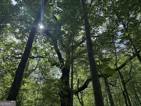 5245 Veal Road, Fairburn, GA 30213