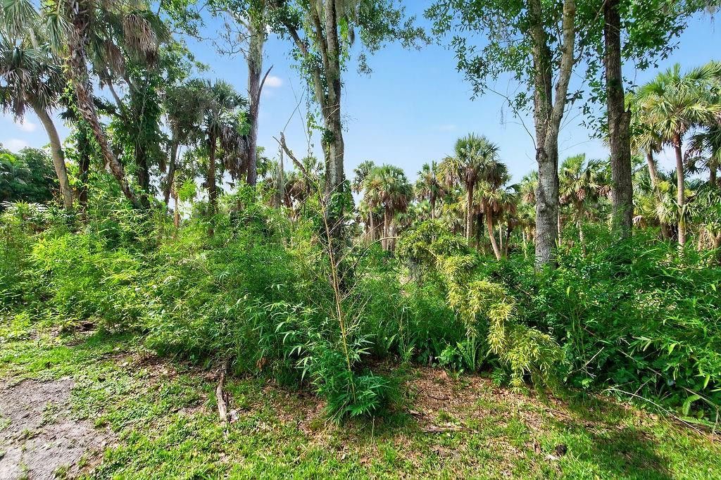 5240 20th Street, Vero Beach, FL 32966 Photo