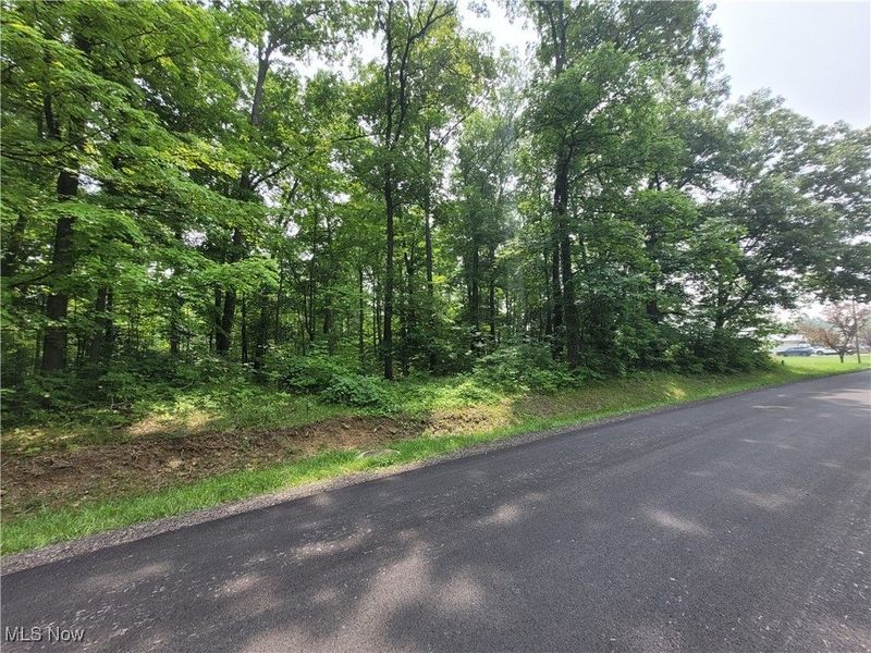 1246 Laurel Drive, West Salem, OH 44287 Photo 1